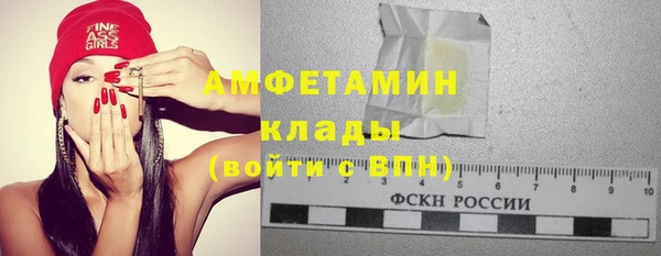 ГАЛЛЮЦИНОГЕННЫЕ ГРИБЫ Алзамай