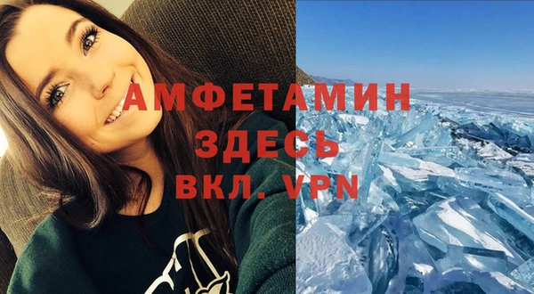 ГАЛЛЮЦИНОГЕННЫЕ ГРИБЫ Алзамай