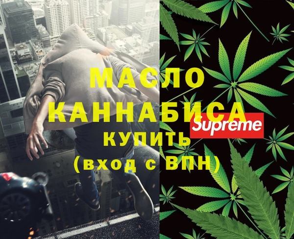 МДПВ Ельня