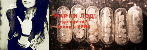 ГАЛЛЮЦИНОГЕННЫЕ ГРИБЫ Алзамай